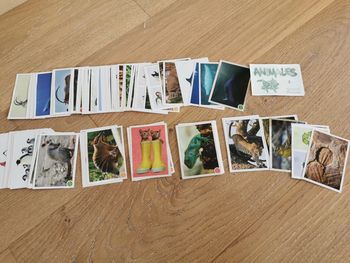 108 Stickers panini animaux