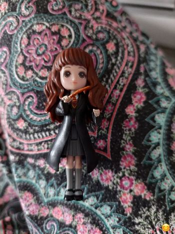 Hermione harry potter