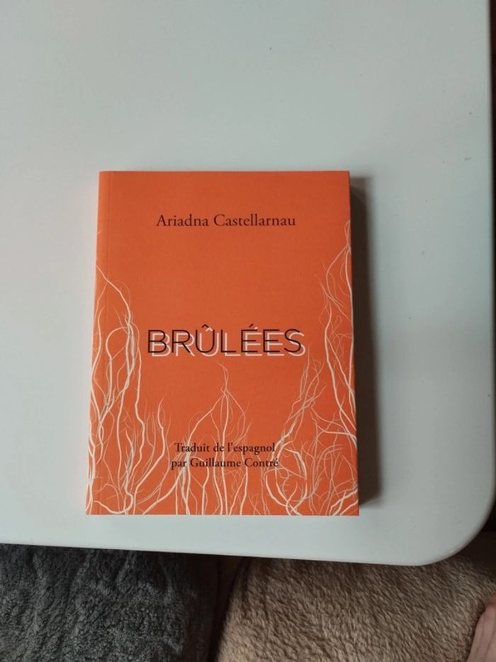 Livre brûlées Ariadna Castellarnau