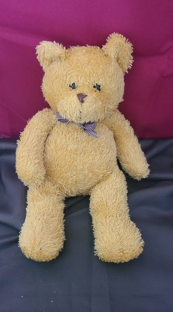 Peluche ours Christmas house