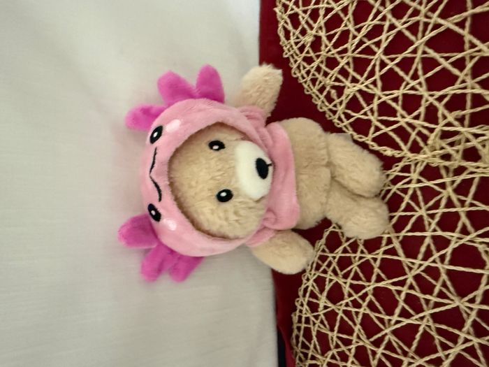 doudou ours déguisé - photo numéro 2