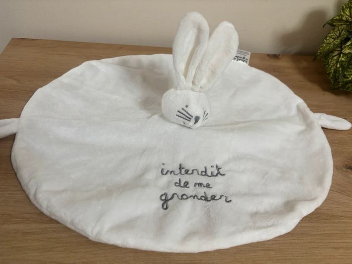 Doudou plat rond lapin blanc interdit de me gronder - photo numéro 2