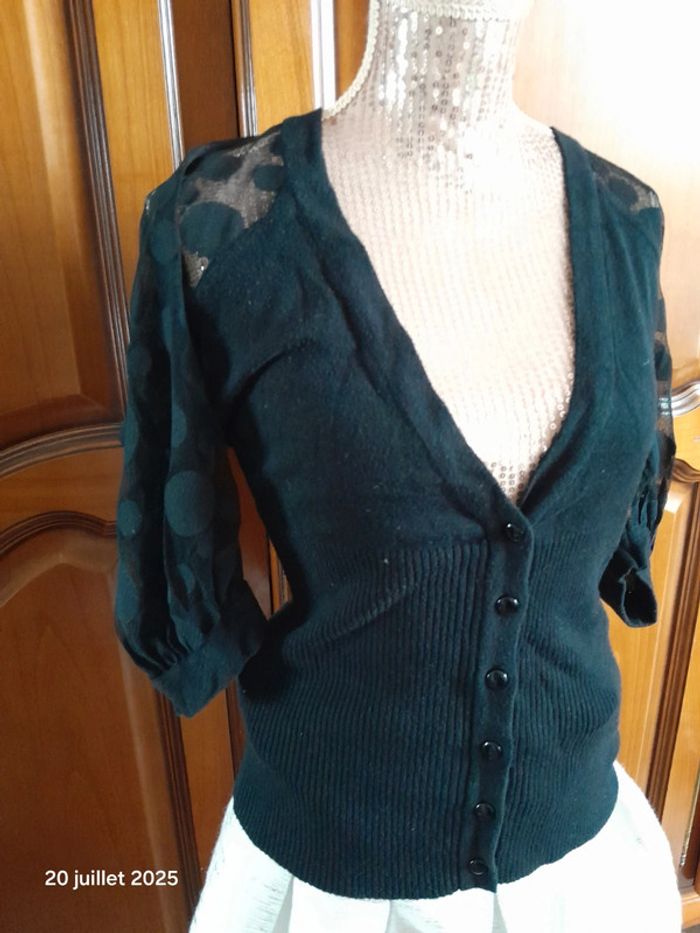 Jupe brodée gilet morgan - photo numéro 6