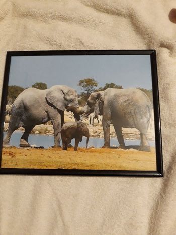 Tableau  Éléphants