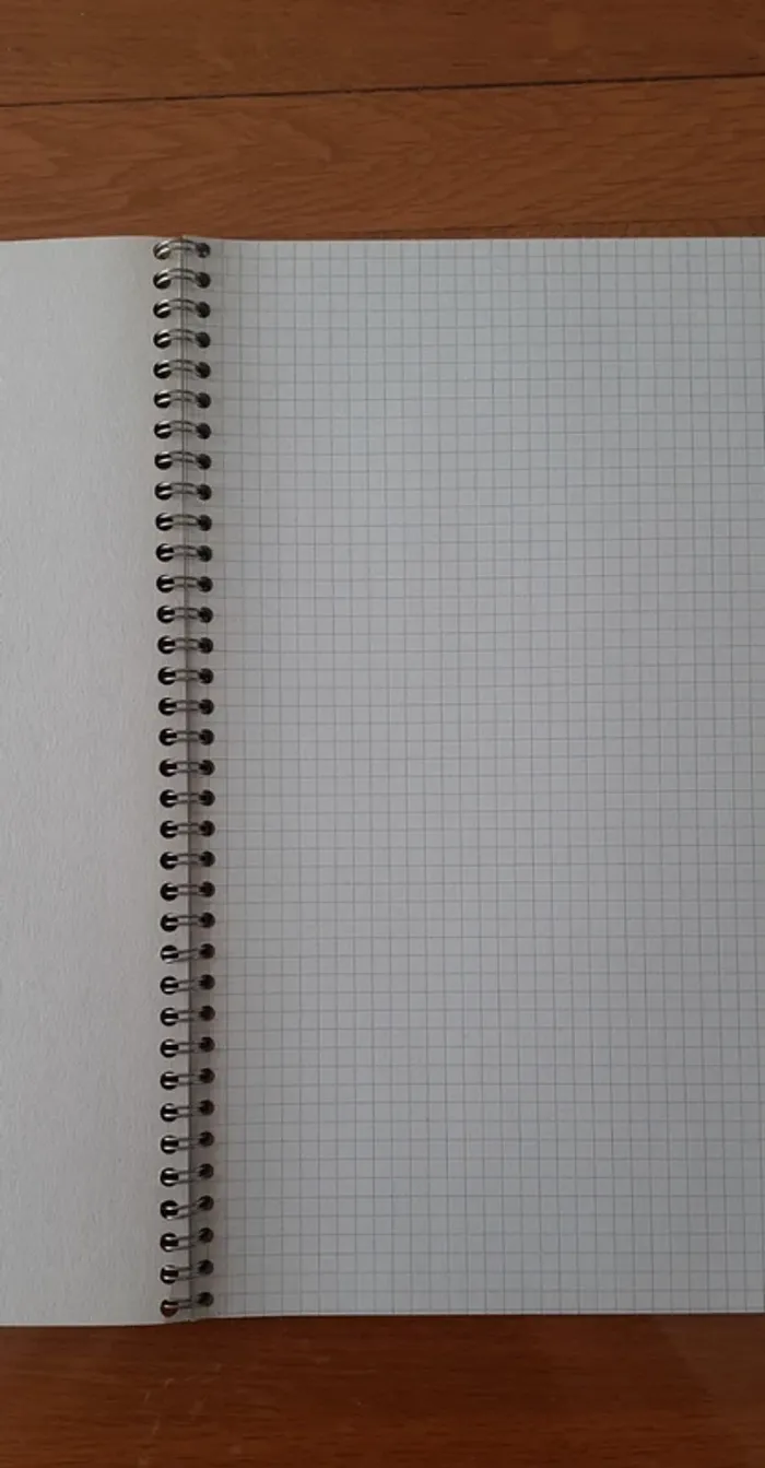 cahier neuf avec petits carreaux - photo numéro 3
