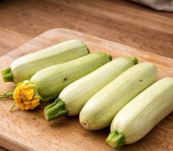 8 graines courgette blanche + possibilité lots 