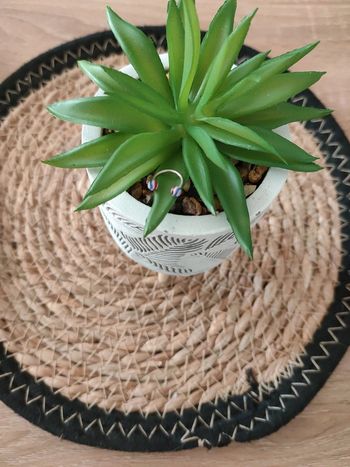 🌿Piercing anneau🌿