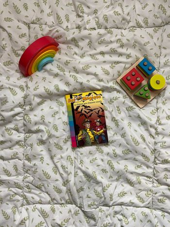 livre le bus magique la chasse aux chauves souris tome 6