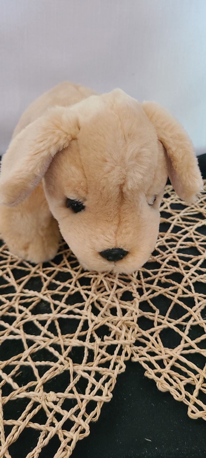 chiot Labrador doré en peluche « Keel Toys » doudou - photo numéro 3