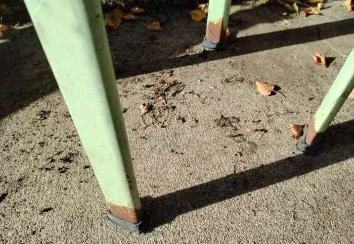 Paire de chaises de bar de couleur verte style usine - photo numéro 5