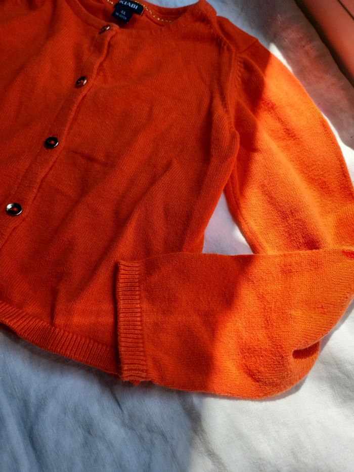 Gilet automne 4 ans - photo numéro 2