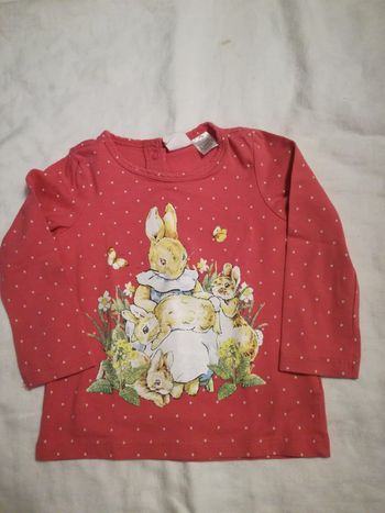 Tee shirt Peter Rabbit