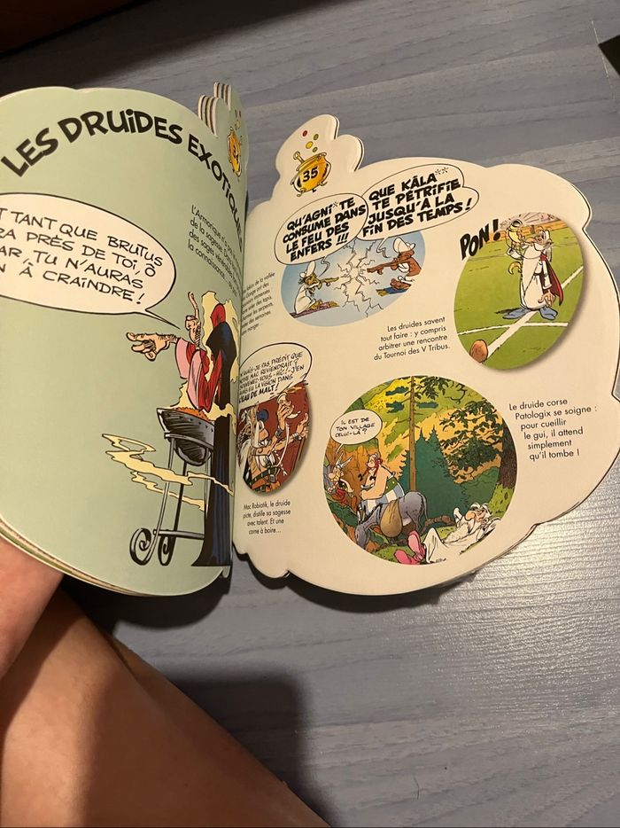 Livre Astérix - photo numéro 2