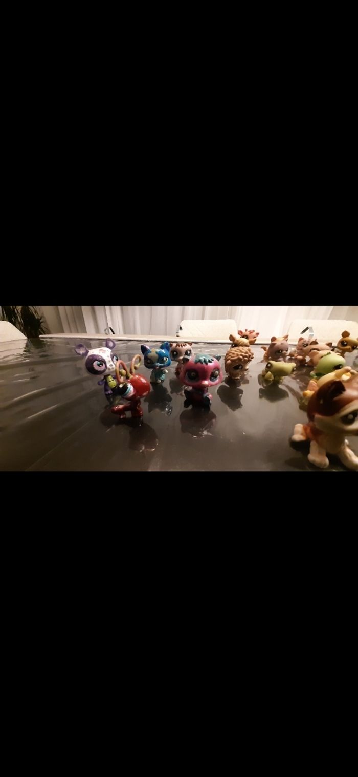 Lot Petshops - photo numéro 8