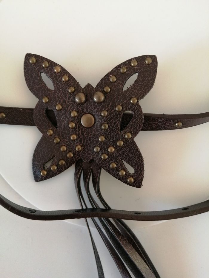 Joli Papillon !! - photo numéro 2