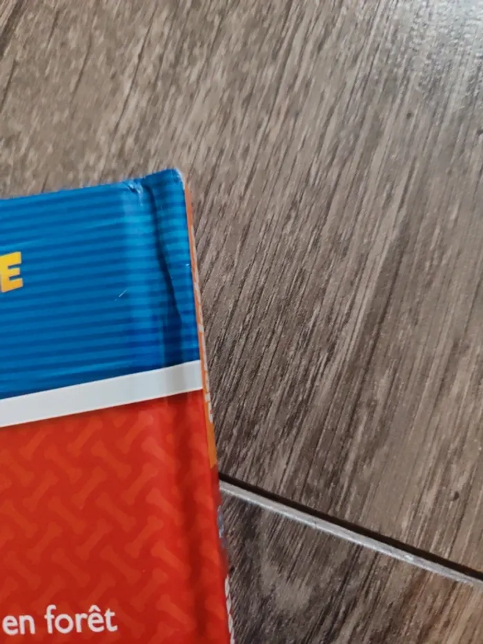 Pat patrouille - photo numéro 4