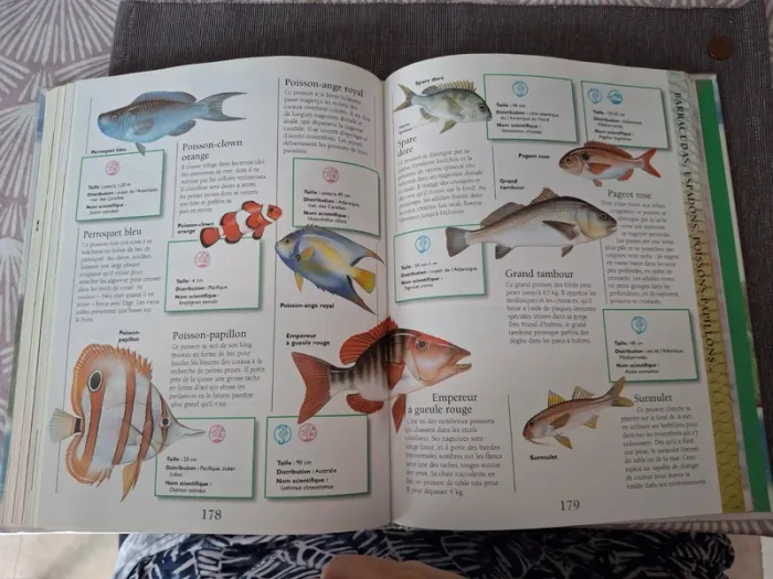 Livre Larousse junior des animaux - photo numéro 3