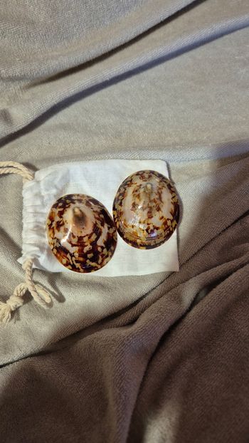 Coquillage allaitement 