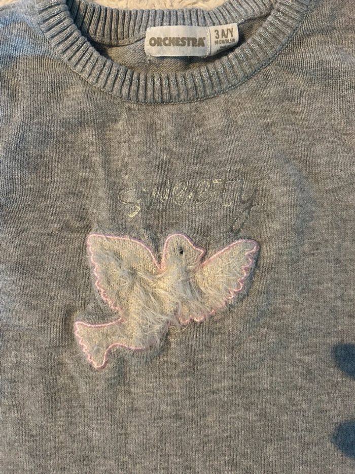 Jolie robe orchestra 3 ans - photo numéro 3