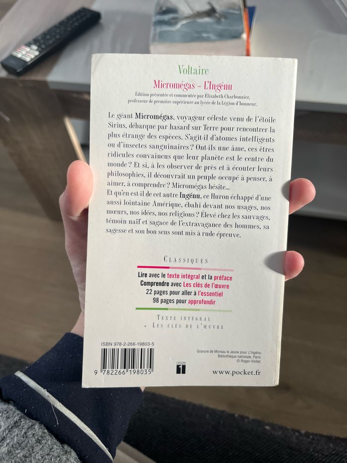 Micromegas - photo numéro 3