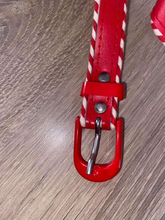 Ceinture modèle Pin-up - photo numéro 4