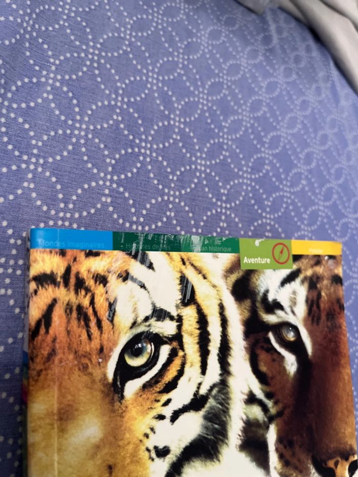 Livre les deux Freres - photo numéro 3