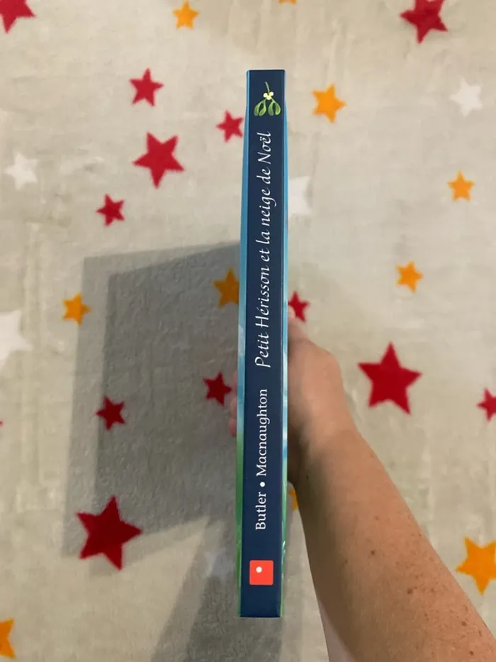 Petit Hérisson et la Neige de Noël – Petit format - photo numéro 2
