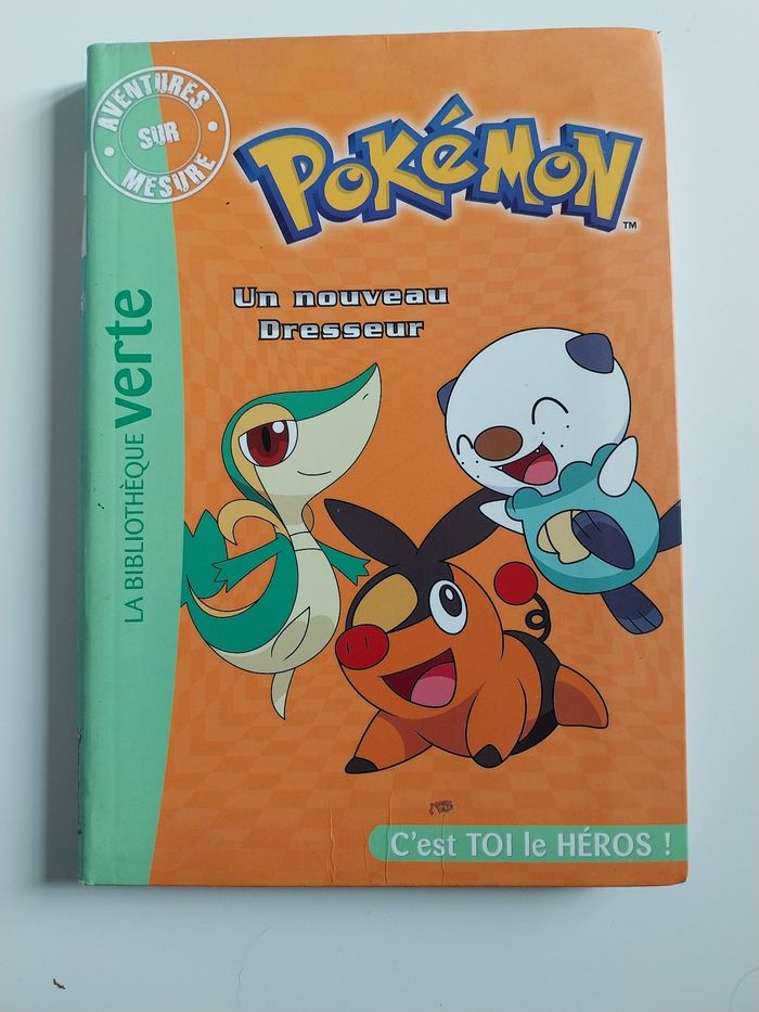 Livre Pokemon C'est toi le héros