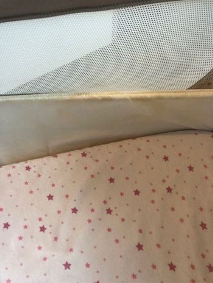 Cododo Chicco - photo numéro 8