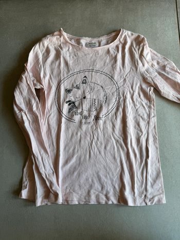 TEE shirt renard 10 ans