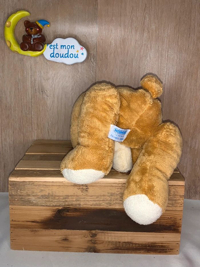 NOU56 doudou ours 🐻 nounours - photo numéro 2