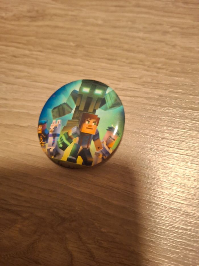 Pin's minecraft