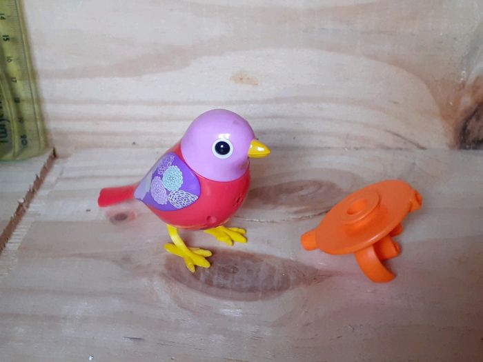 Digibird oiseau siffleur et sa bague