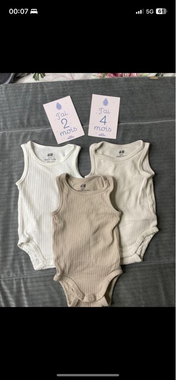 Lot body 