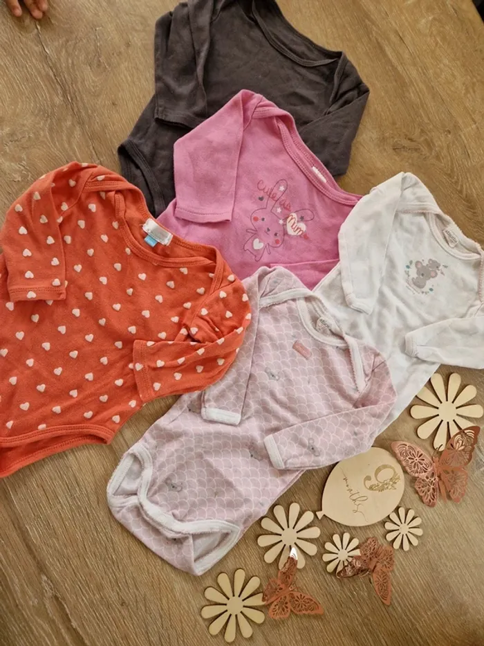 Lot de body manches longues absorba bebe fille 9 mois