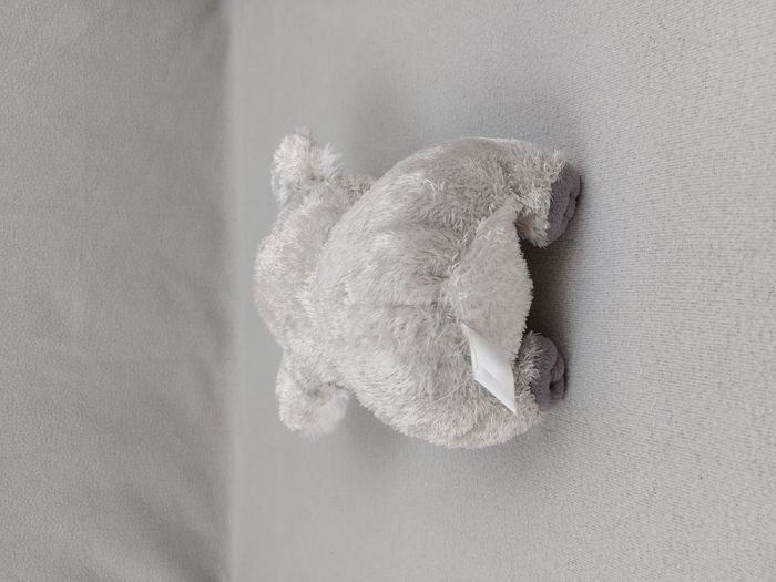 Peluche doudou Koala gris blanc 22 cm ZOOPARC BEAUVAL - photo numéro 4