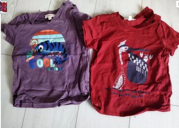 Tee shirts Catmini 18 mois
