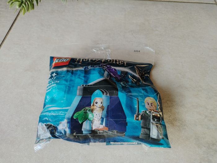 LEGO 30677 – Draco in the Forbidden Forest – Neuf scellé