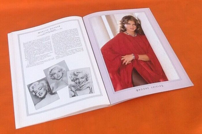 Kim Malcolm Les Sex Symbols - photo numéro 4