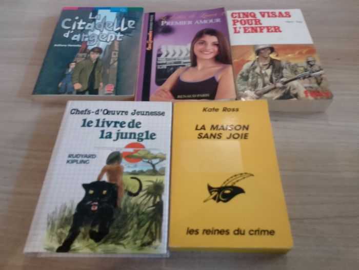 Lot de 5 livres de poche(2) - photo numéro 1