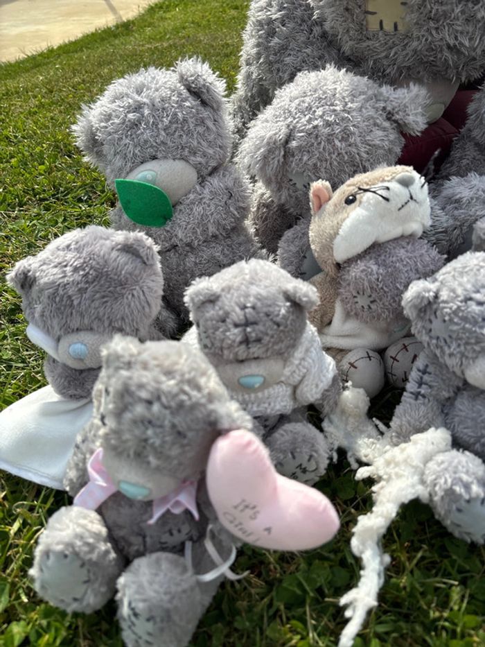 Collection de peluches me to you - photo numéro 3