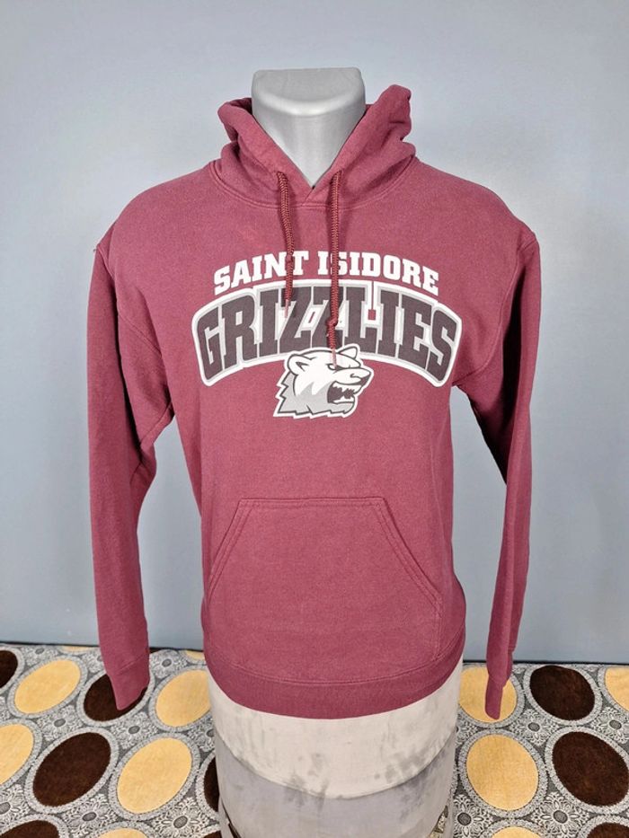 sweat a capuche / Hoodie gildan / homme taille S / bordeaux (381) - photo numéro 2