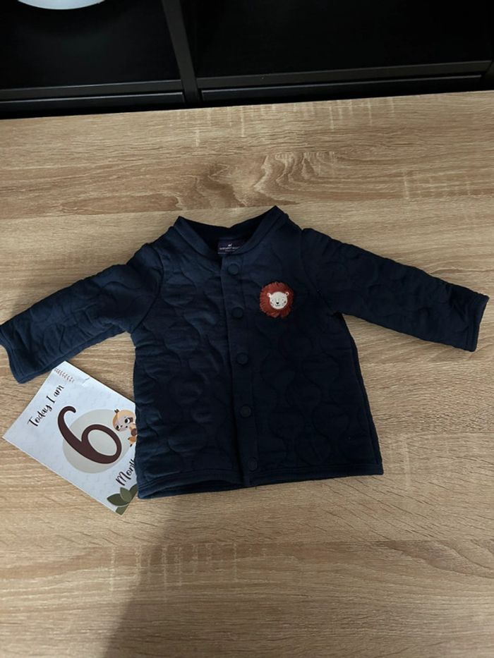 Veste