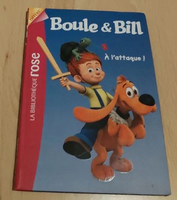 Livre boule et bill