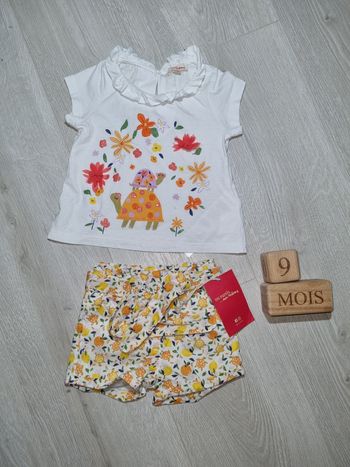 Ensemble neuf tortue