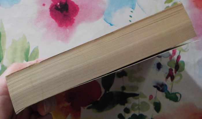 La chambre des curiosités de D. Preston et L. Child Ed. J'ai Lu - photo numéro 4