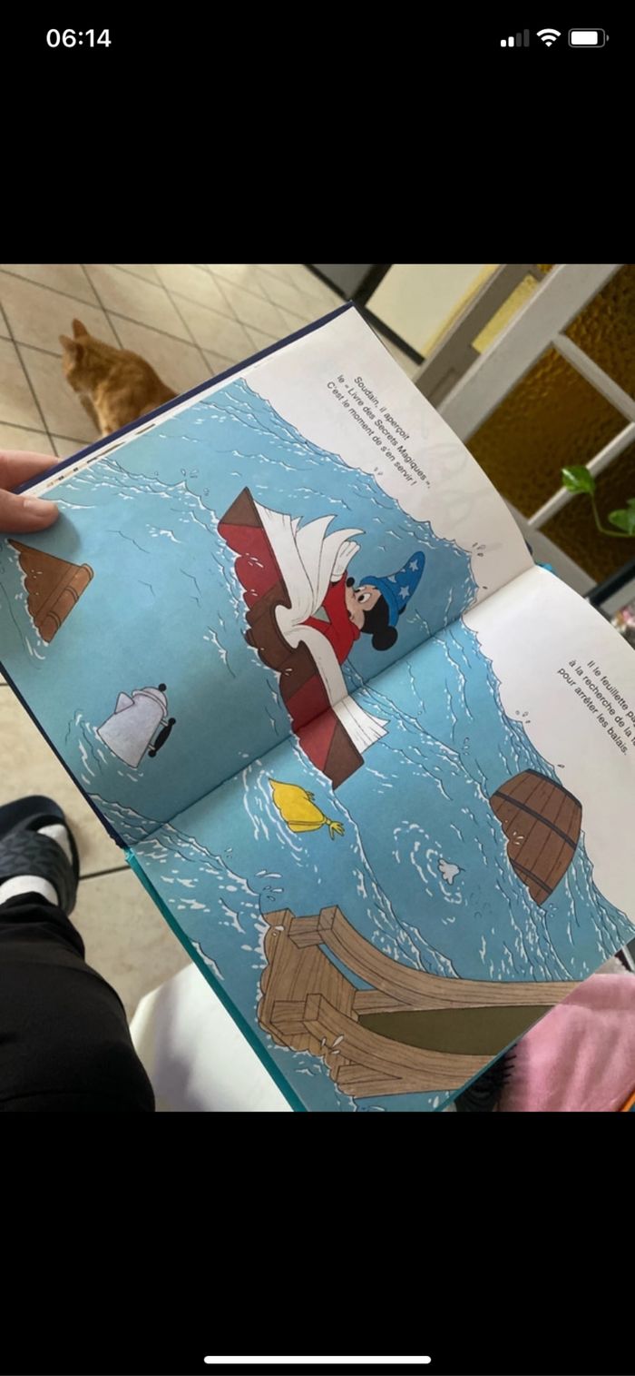 Lot de livre Mickey - photo numéro 5