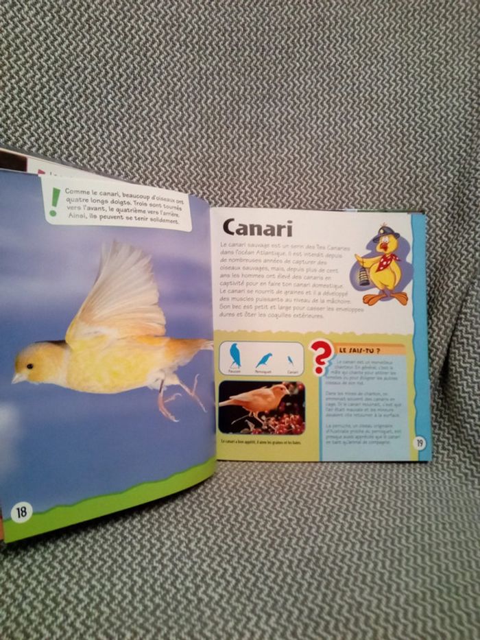 Mes animaux - Éd. Cerf-Volant - photo numéro 4