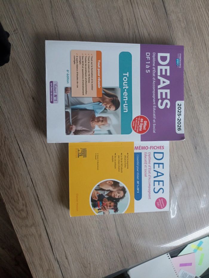 Diplôme d'état d'accompagnant éducatif et social