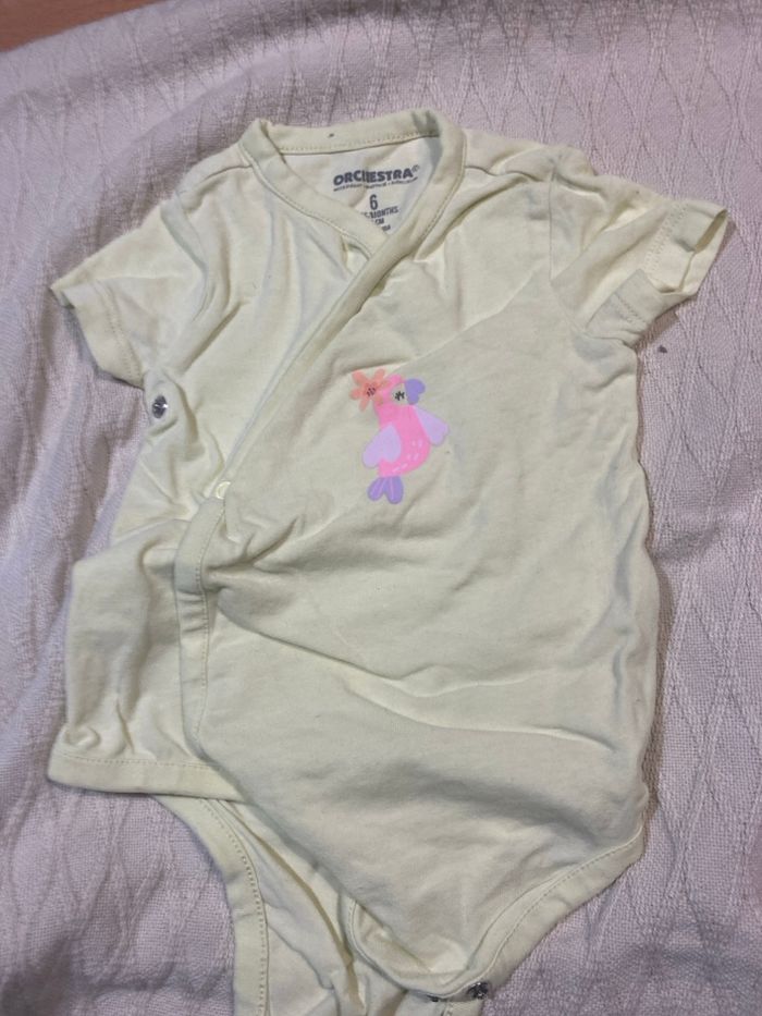 9 bodys  6 mois - photo numéro 7